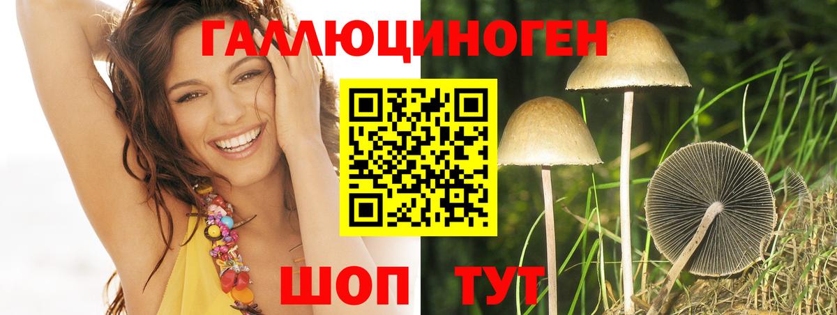 Галлюциногенные грибы Cubensis  Псилоцибиновые грибы Psilocybe  Анапа  Вход с VPN 